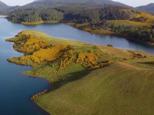 Lago Passante a Maggio 2021